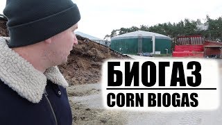 Biogas energy out of animal waste and corn silage in Germany