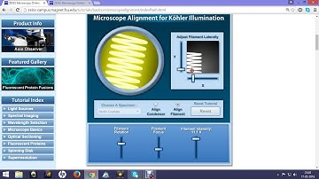 Kohller illumination
