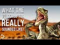 What did the velociraptor really sound like