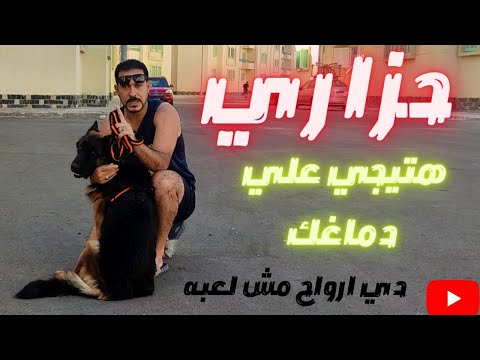 لو مش عارف قيمته بلاش منه اول حاجه بعد متشتري كلب اي فكرت هتتعامل معاه ازاي