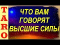 Что хотят сказать мне Высшие Силы расклад Таро онлайн