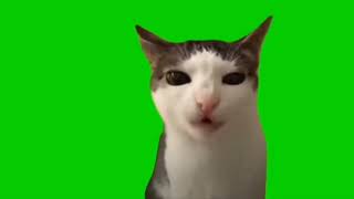 кот жоско хрустит воздухом на зелёном фоне