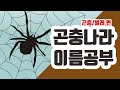 [곤충나라] 동물나라｜곤충｜벌레｜어린이곤충공부｜곤충공부｜곤충이름