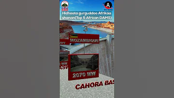Oro Anime Hidhoota Gurguddoo Afrikaa Shanan 