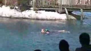 Dolphin Foot Push