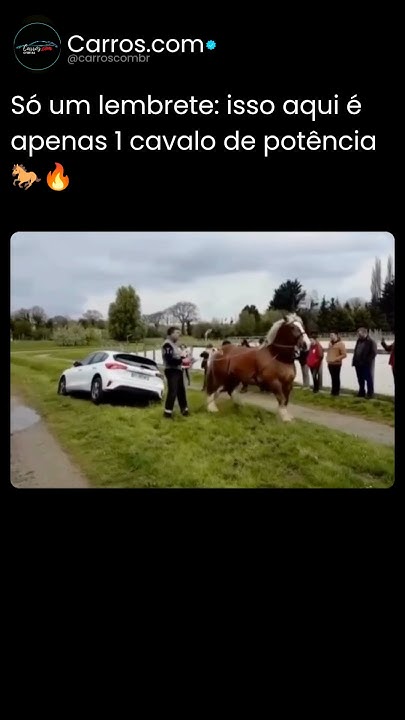 Só um lembrete: isso aqui é apenas 1 cavalo de potência! 🐎🔥