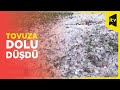 Tovuza dolu düşdü