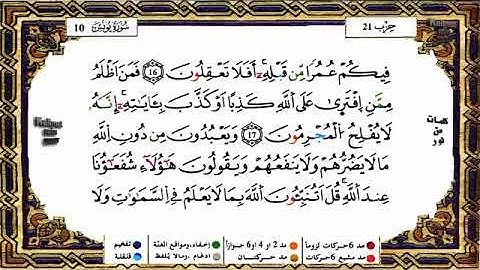 سورة يونس القارئ ياسين الجزائري برواية ورش