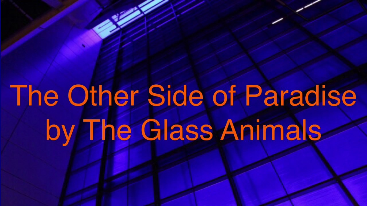 Glass Animals - The Other Side Of Paradise Lyrics