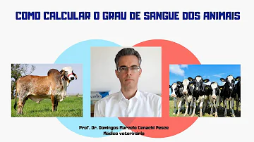 Como calcular o grau de sangue?