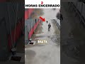 La lealtad de estos perros te hará llorar 🐾 #Perros