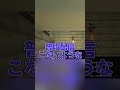 平日の朝9時に配信したのでどんな人がいるのか調べたらグローバルすぎた配信 #マイクラ #マインクラフト