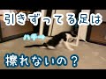 下半身麻痺で引きずってる足は擦れないのか