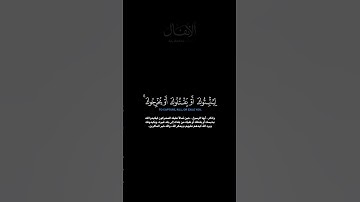 سورة الأنفال:الآية[٣٠] #قرآن #الفرقان #عمر_الدريوز #quran #سورة #الأنفال