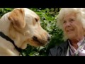 Me and My Guide Dog   Episode 2   S02E02