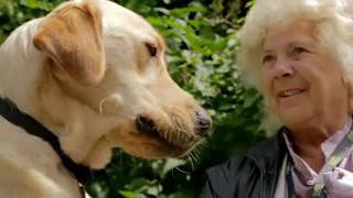 Me and My Guide Dog   Episode 2   S02E02