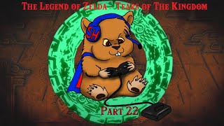 The Legend of Zelda - Tears of the Kingdom Playthrough Part 22 - 6/11/23 - Past Twitch Stream