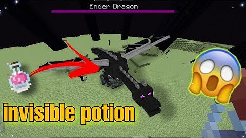 what if you throw an invisibility potion at a dragon?