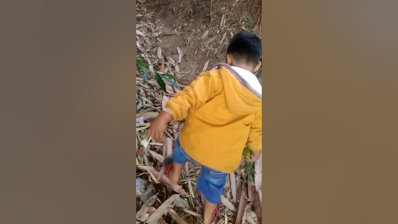 pantat mulus - YouTube