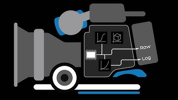 Daylight Introduction Part 3 - Applying Basic Grades
