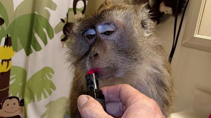 Totally Monkey Euphoria Angel Louise Bullock