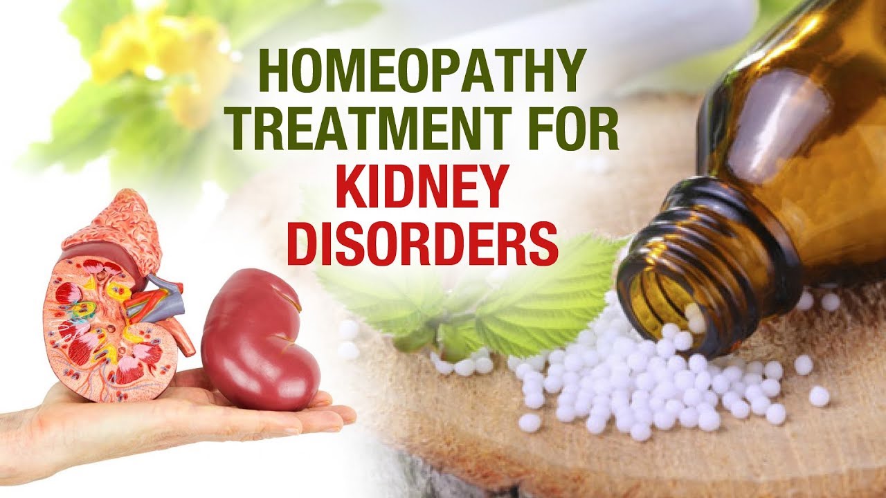 Homeopathy Treatment for Kidney Disorder Homeopathy Unhonipathy