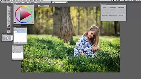 How to paint photos for beginners using Corel Painter