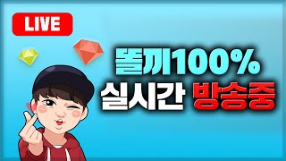 똘끼100%