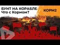 КОРМ2. Бунт на корабле! Что с Кормом?