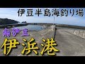 伊豆半島海釣り場 伊浜港 南伊豆 IHAMA PORT MINAMIIZU