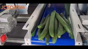 Cucumber color sorting machine, cucumber optical sorting machine, cucumber color grader