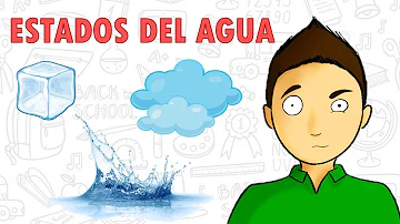 ¿Qué estado tiene más agua?