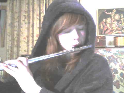 Christina Perri - Jar Of Hearts ( flute cover )