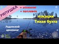 Русская рыбалка 4 - Ладожский архипелаг - Ряпушка под базой