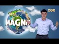 Daraxtlar internetga ulangan-mi? - MAGNIT ZO'R TV