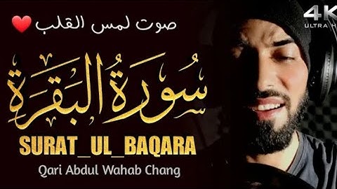 surah baqarah | سورة البقرة صوت لمس القلب | Surah Al- Baqarah Qari Abdul Wahab Chang