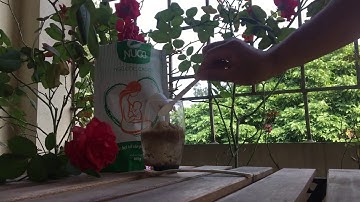 Cách pha Ngũ cốc lợi sữa Ngon - không ngán - mà dữ nguyên dưỡng chất này các mẹ ơi