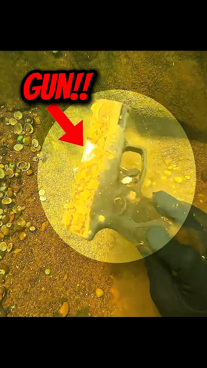 Amazing Treasure Finds You Won’t believe