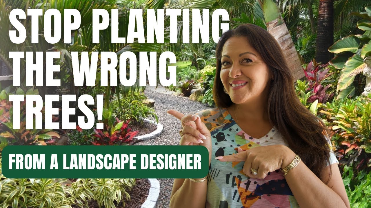 STOP! Don’t Plant Another Palm Until You See These!!