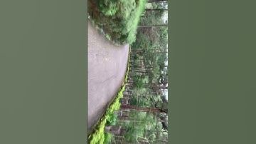 #2 Thung Lũng Tình Yêu Ở Đà Lạt || Cẩm Uy Official ||