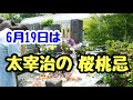 『桜桃忌』太宰治の命日