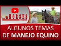 ALGUNOS TEMAS DE MANEJO EQUINO | On HORSES CHANNEL | SANTIAGO TOBÓN ESTRADA