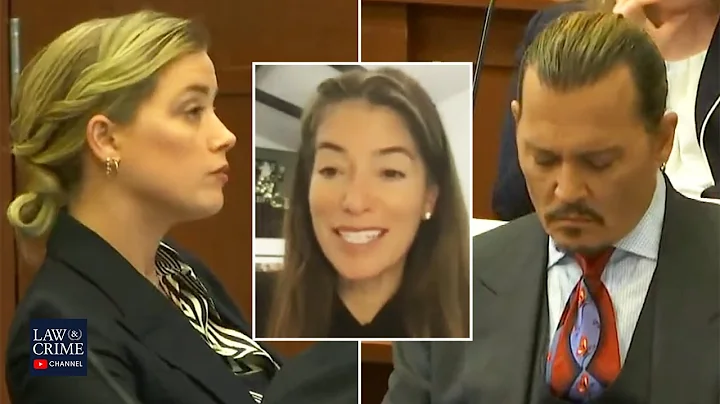 Johnny Depp's Agent & Divorce Lawyer Testify in Co...