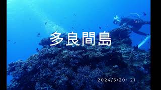 多良間島　ダイビング