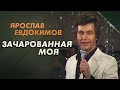 Ярослав Евдокимов - Зачарованная моя