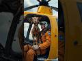 Ready To Fly Goat Turns Into A Skydiver Ready To Fly Goat Turns Into A Skydiver