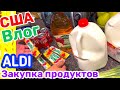 США Влог Закупаемся продуктами в ALDI  Большая семья в США Big big family in the USA VLOG