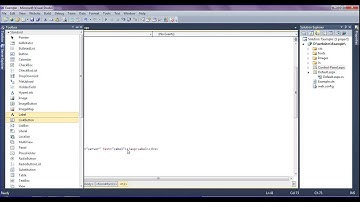 Asp.net Login with cookies and logout