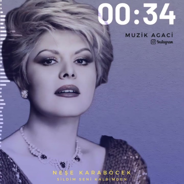 Neşe Karaböcek •{Sildim Seni Kalbimden }•🦋ꦿ❤️‍🩹ᯓ★