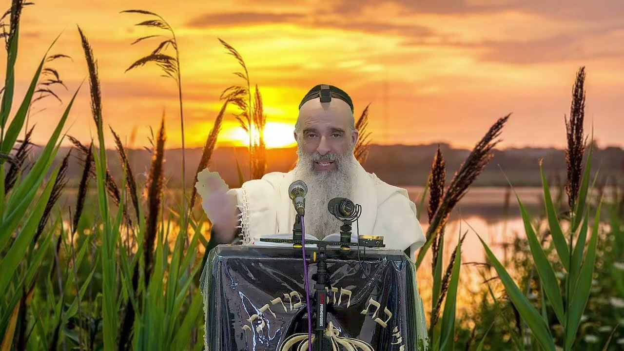 הרב מאיר דוד שמואלי - הדרך פתוחה למשיח